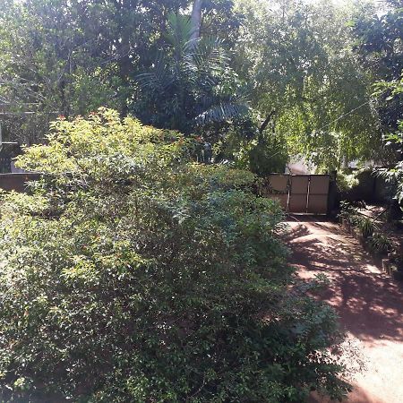 Guesthouse Sunshine Aluthgama Esterno foto